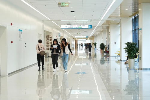济宁国家区域医疗中心正式启用，信息咨询服务全面升级