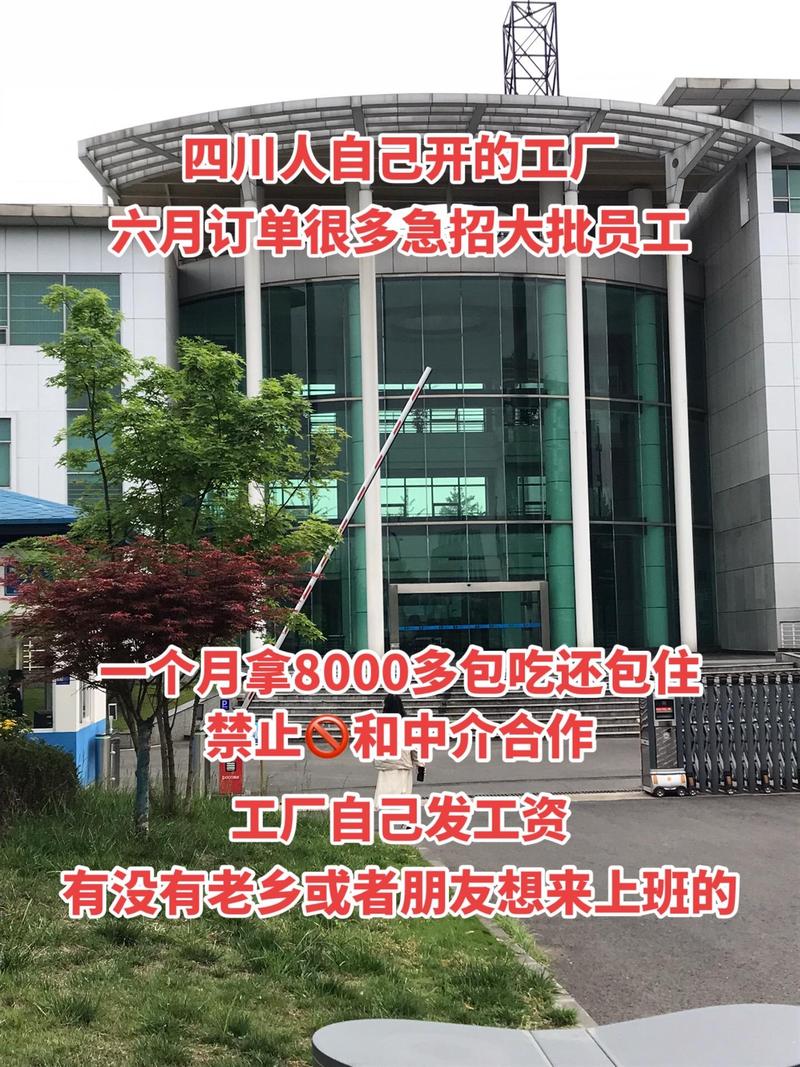 跨越琼州海峡的求职机遇 海口秀英区晖熙宇信息咨询服务部携手成都长白班岗位，助力求职者圆梦