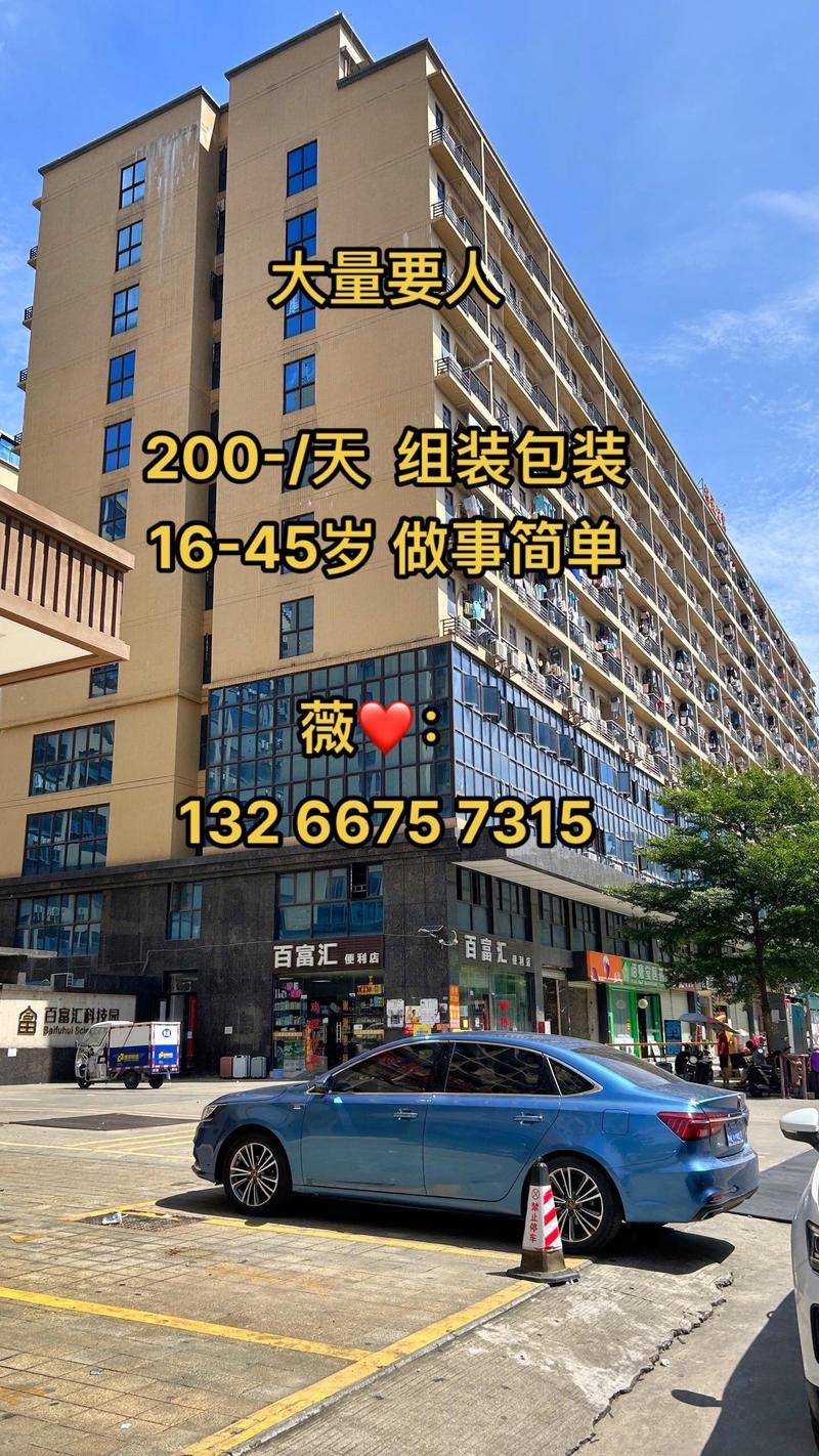 芷垨信息咨询 连接知识与决策的专业桥梁